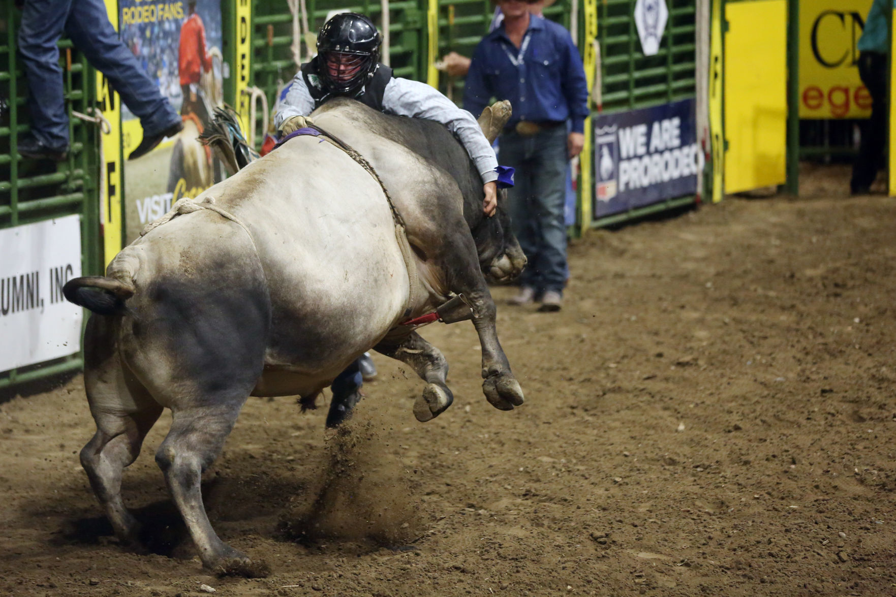 CNFR